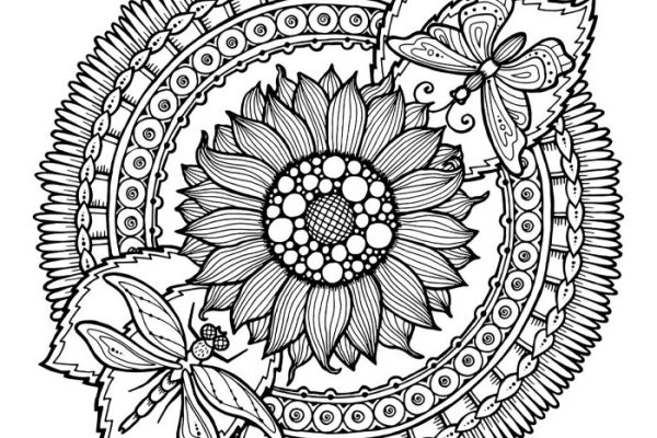 Mandala coloring book pages