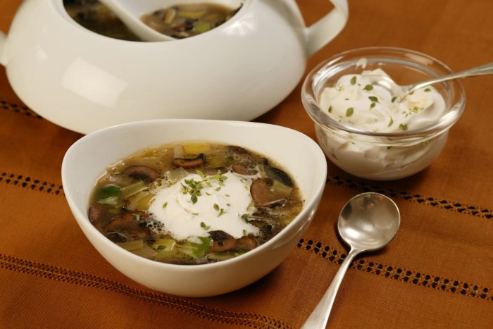 Stroganoff recipe with cream of mushroom soup