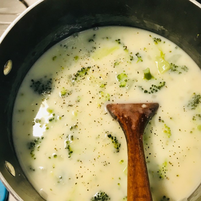 Broccoli soup recipes easy