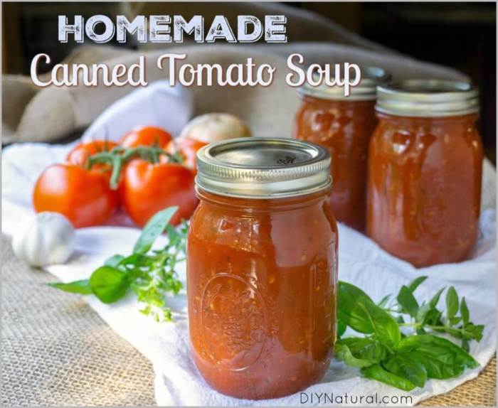 Ball tomato soup canning recipe