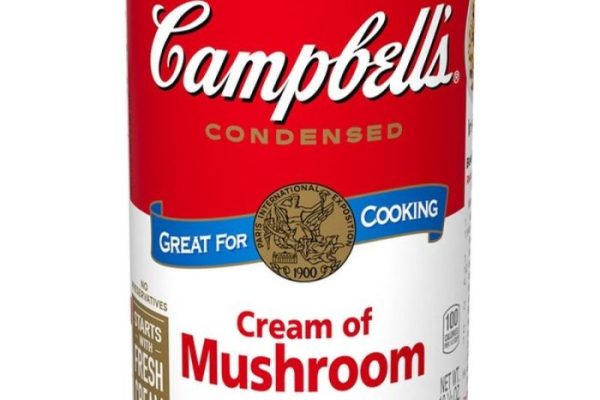 Campbell cream of mushroom soup recipes